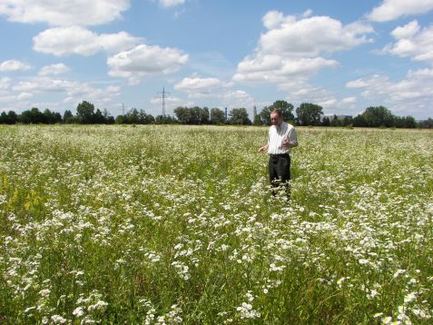 Wolfgang Waschkowski continued to look after the TUM's compensation area in Garching in his retirement, here in 2011.  © FRM II/TUM Nachruf Waschkowski Bild 3
